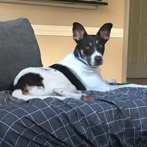 Meet your Posher, Jade